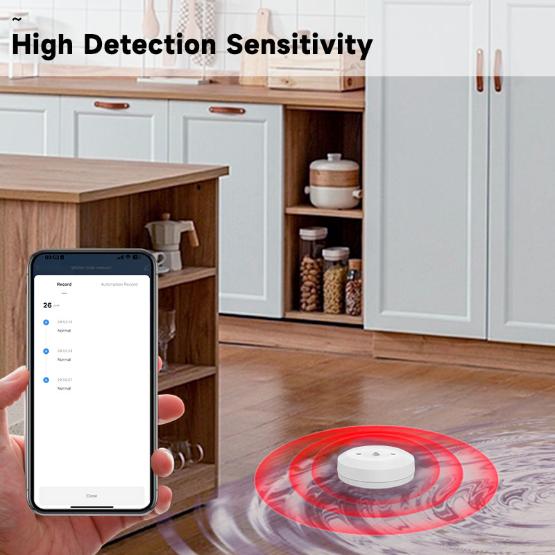 Tuya Zigbee2mqtt Water Immersi - Water Alarm Sensor ulasan dan harga